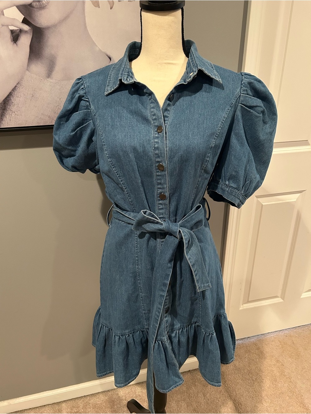 Vici Denim Ruffle Mini dress with puff sleeves